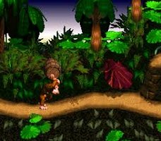 dkc 2