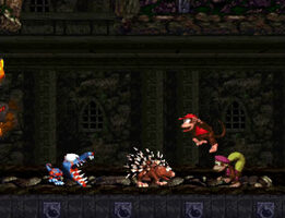 dkc 25
