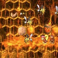 dkc 4
