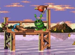 dkc 5